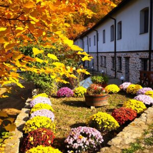 German monastery 23