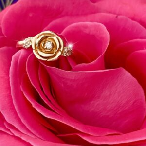 Ring Rose 1